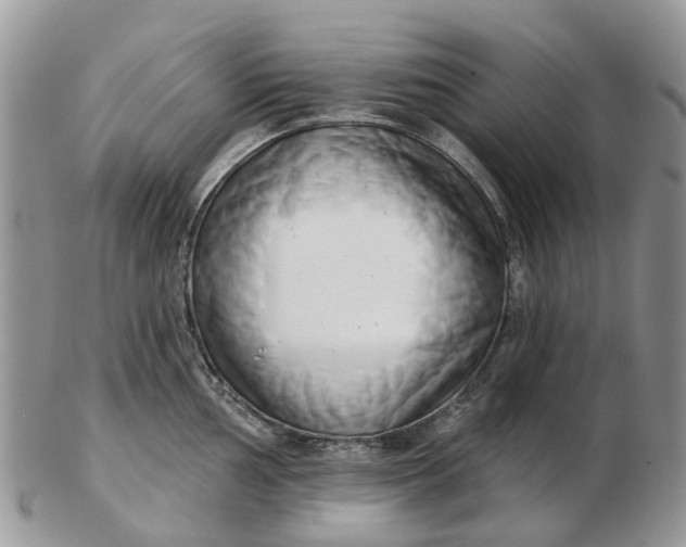 X0000102791002200809021110