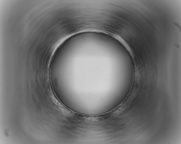 X0000102791004200809021110