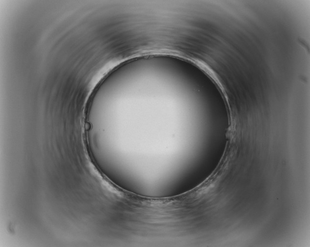 X0000102791005200809021110