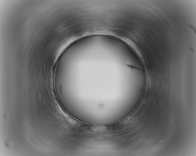 X0000102791006200809021110