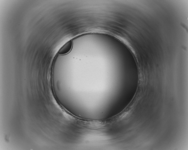 X0000102791007200809021110