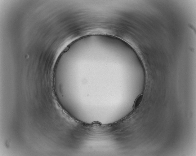 X0000102791008200809021110