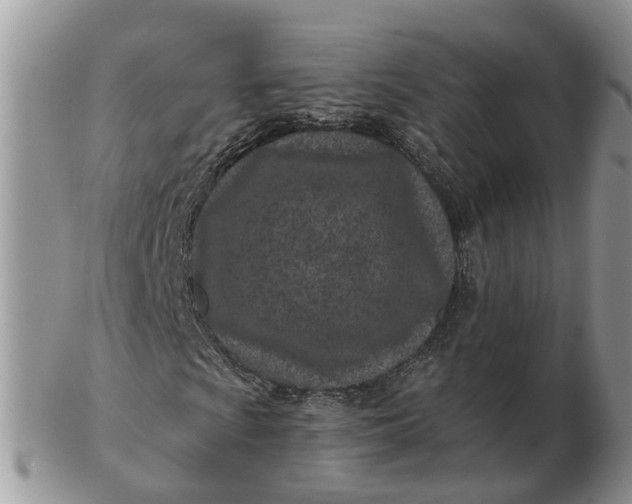 X0000102791009200809021110