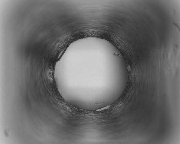 X0000102791010200809021110