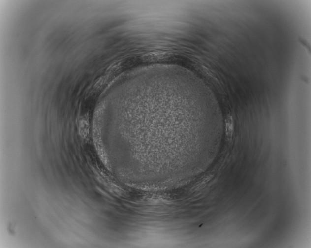 X0000102791011200809021110