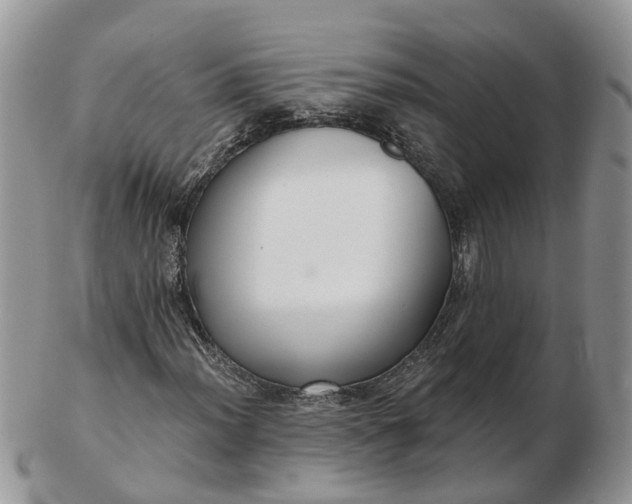 X0000102791012200809021110