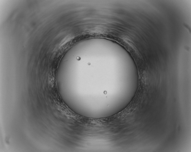 X0000102791015200809021110