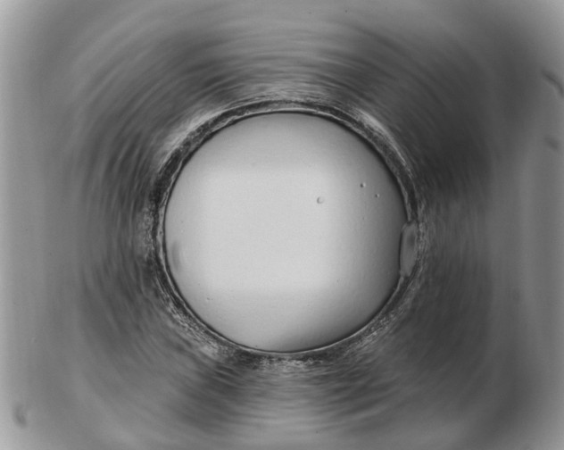 X0000102791019200809021110