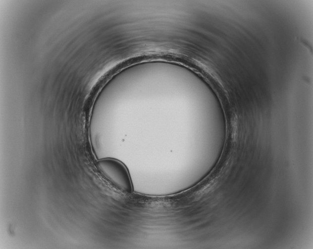 X0000102791021200809021110