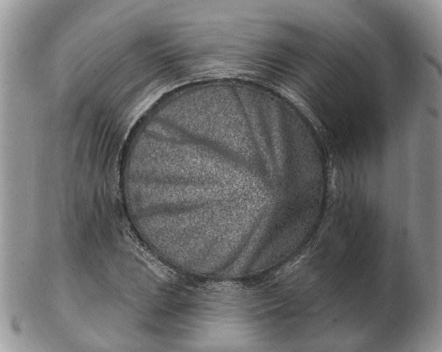 X0000102791023200809021110