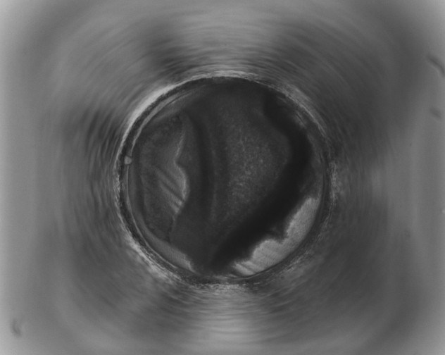 X0000102791024200809021110