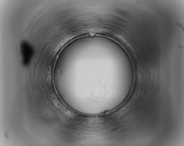 X0000102791025200809021110