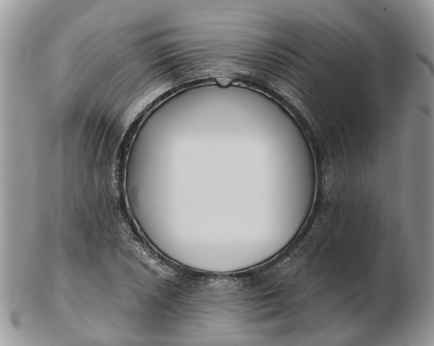 X0000102791026200809021110