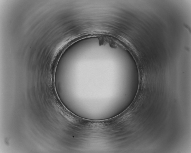 X0000102791027200809021110