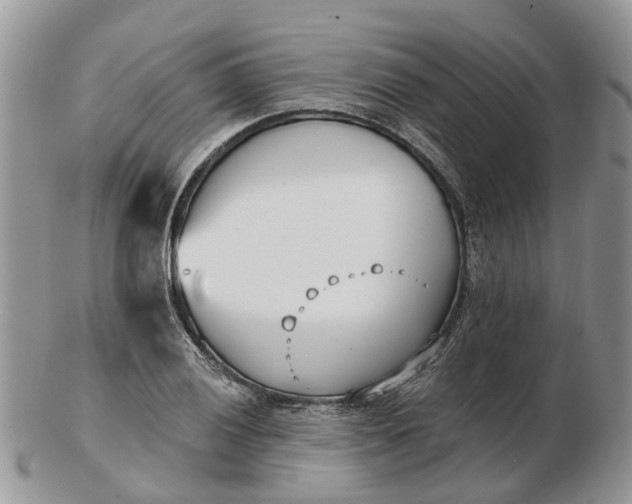 X0000102791028200809021110