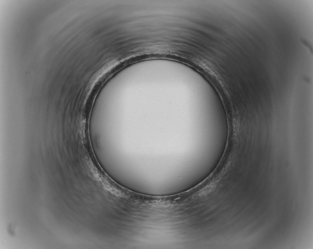 X0000102791029200809021110