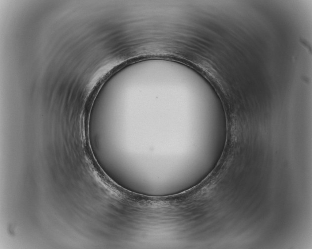 X0000102791030200809021110