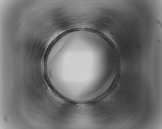 X0000102791032200809021110