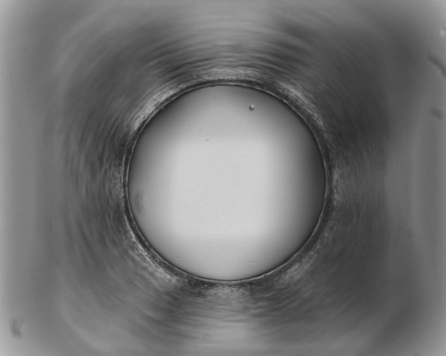 X0000102791033200809021110