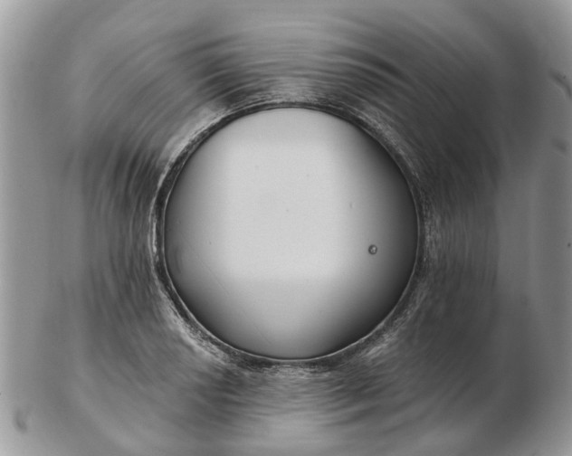 X0000102791034200809021110