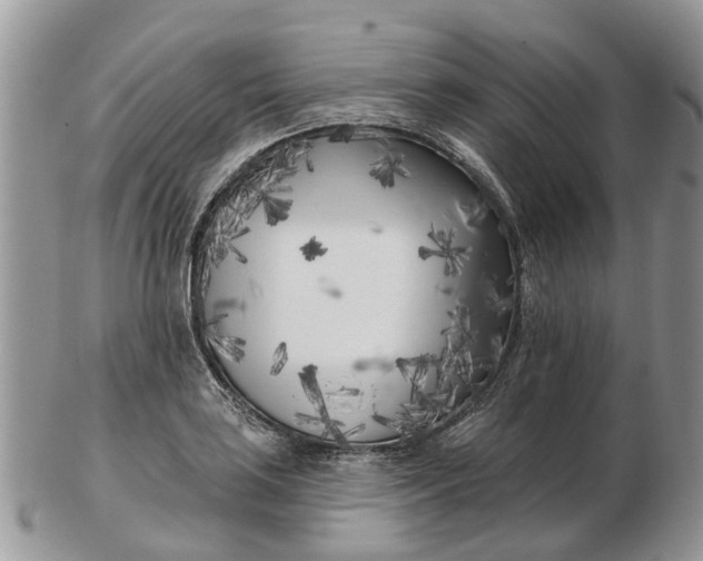 X0000102791035200809021110