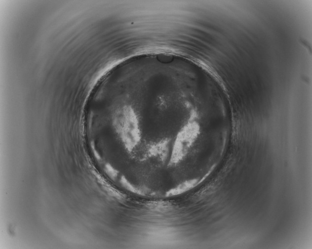 X0000102791037200809021110