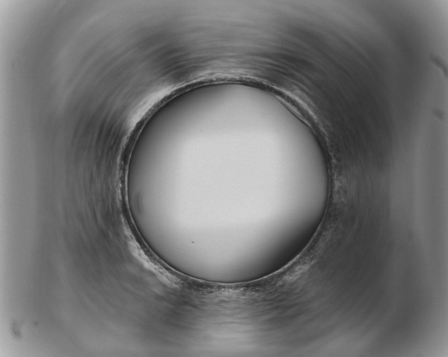 X0000102791038200809021110