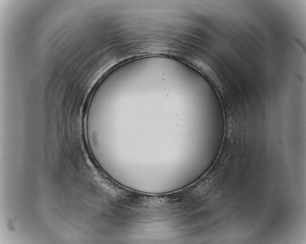 X0000102791039200809021110