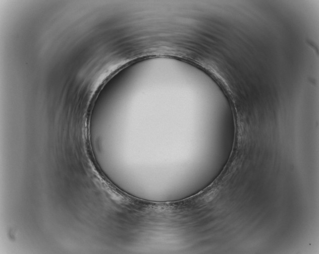 X0000102791040200809021110