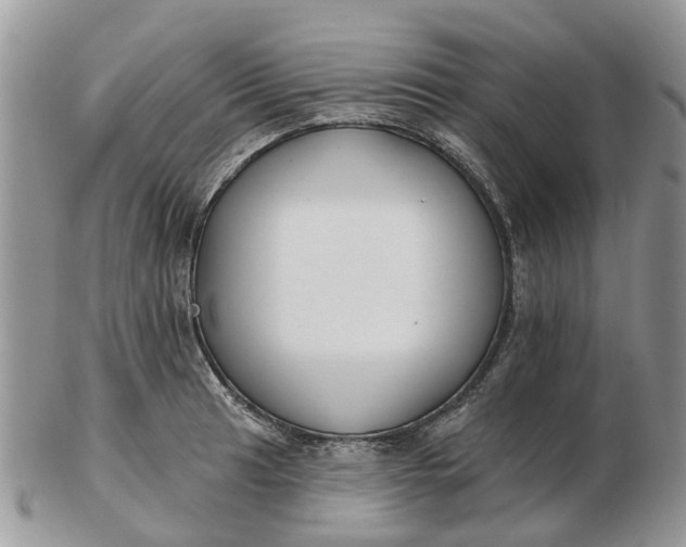 X0000102791041200809021110