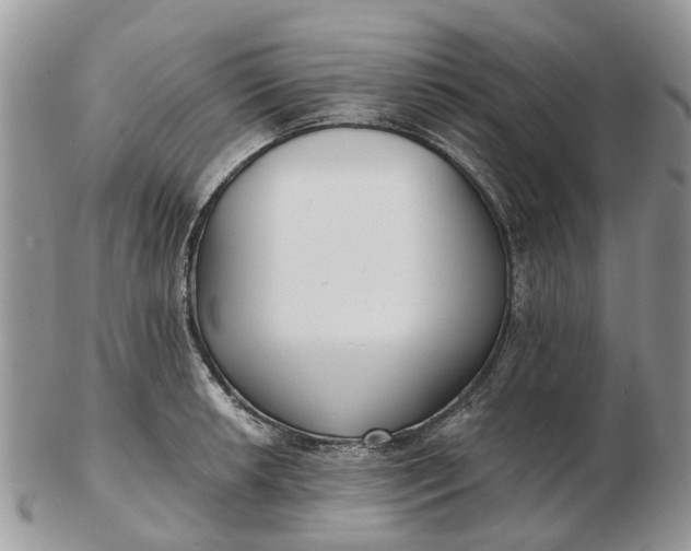 X0000102791042200809021110