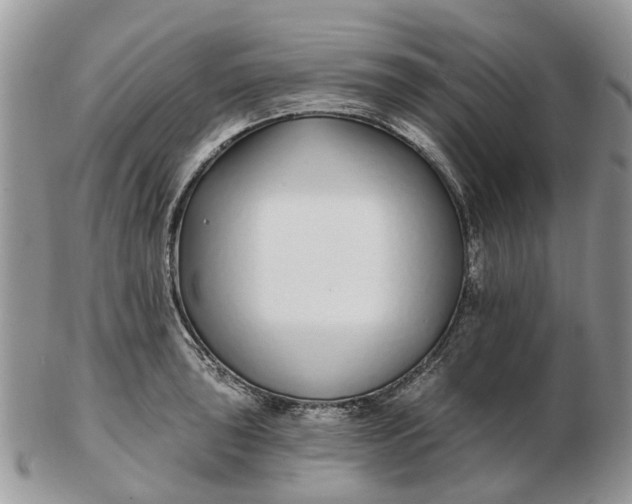 X0000102791043200809021110