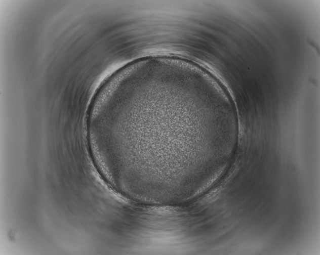 X0000102791045200809021110