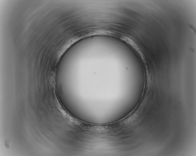 X0000102791049200809021110