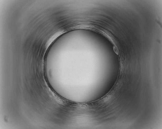 X0000102791050200809021110