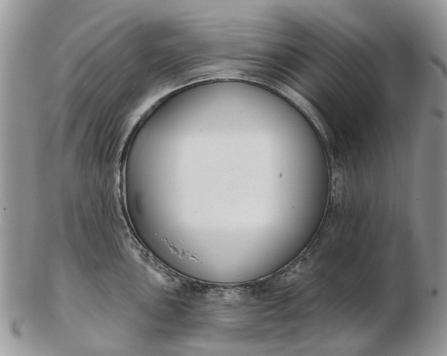 X0000102791051200809021110