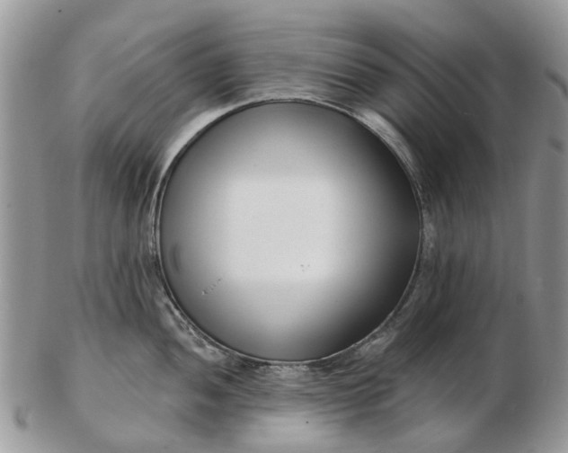 X0000102791052200809021110