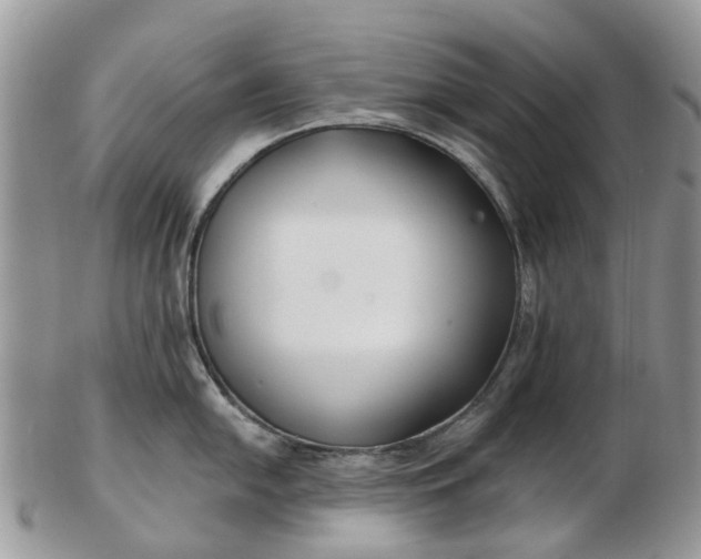 X0000102791054200809021110