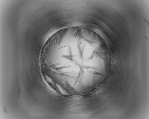 X0000102791055200809021110