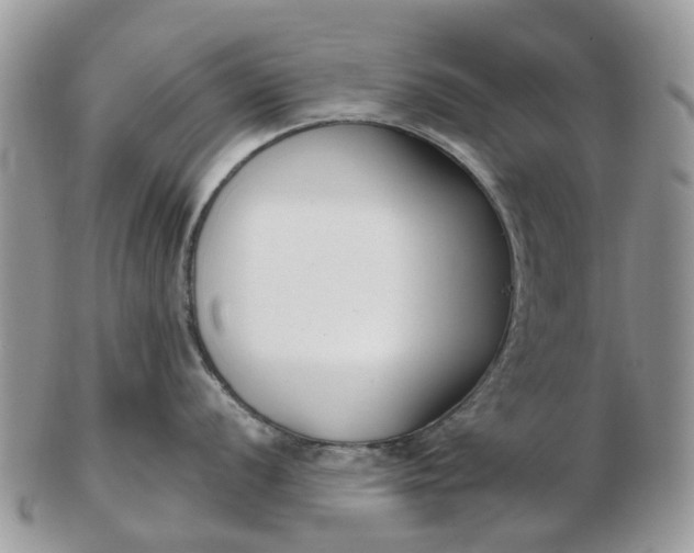 X0000102791056200809021110