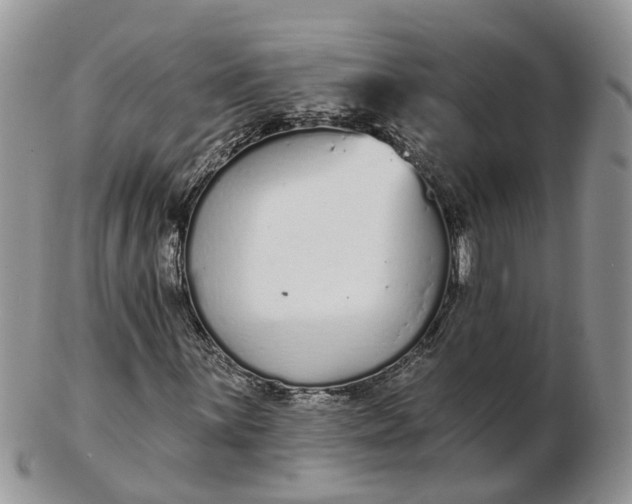 X0000102791059200809021110