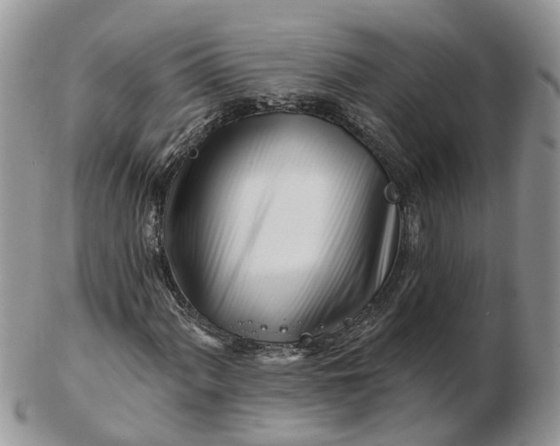 X0000102791060200809021110