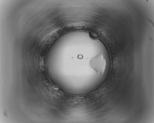 X0000102791062200809021110