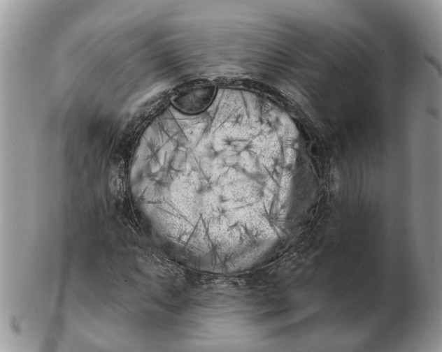 X0000102791063200809021110