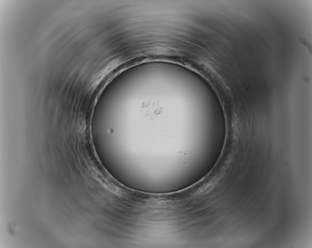 X0000102791065200809021110