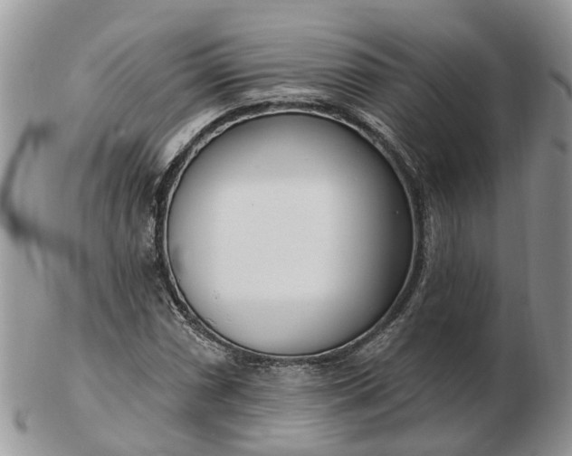 X0000102791066200809021110