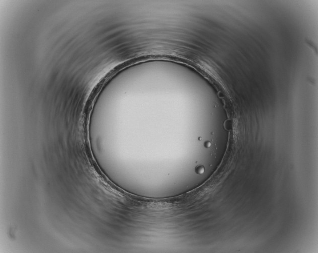 X0000102791068200809021109