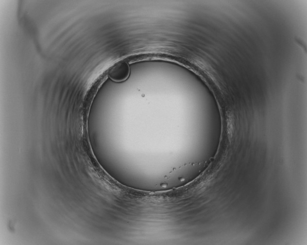 X0000102791069200809021109