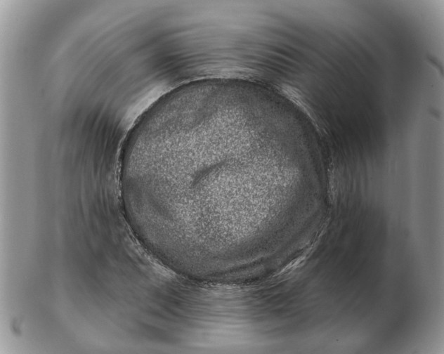 X0000102791071200809021109