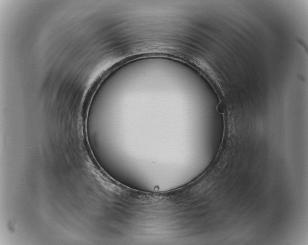 X0000102791072200809021109